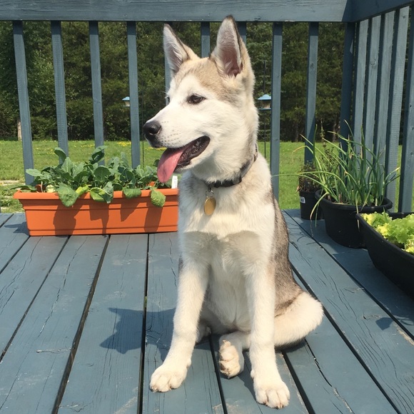 Meet your Posher, Gabyy - Picture 2 of 2